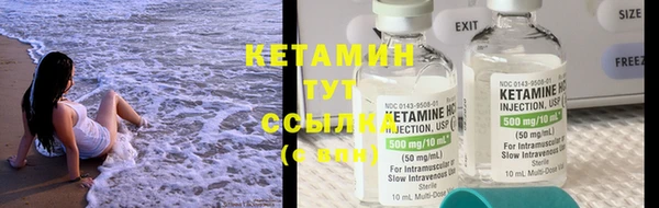 трава Зерноград