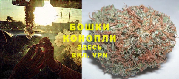 трава Зерноград