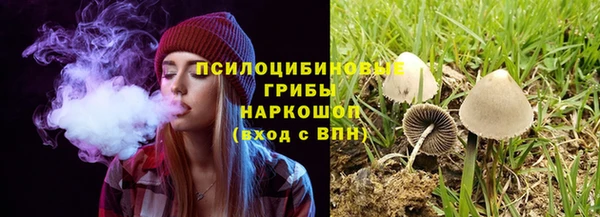 трава Зерноград