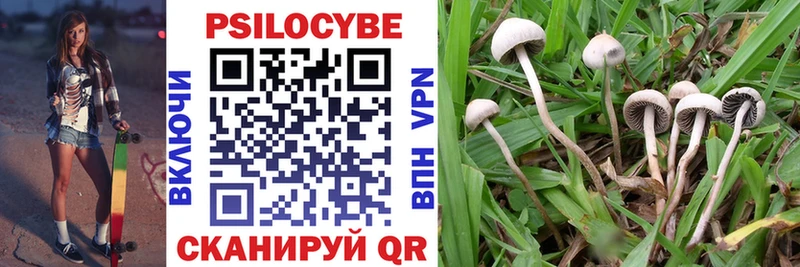 Псилоцибиновые грибы MAGIC MUSHROOMS  Купить  Циолковский 