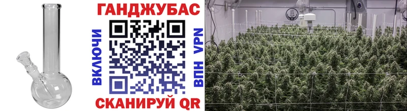 Купить где  Циолковский  Бошки Шишки SATIVA & INDICA 